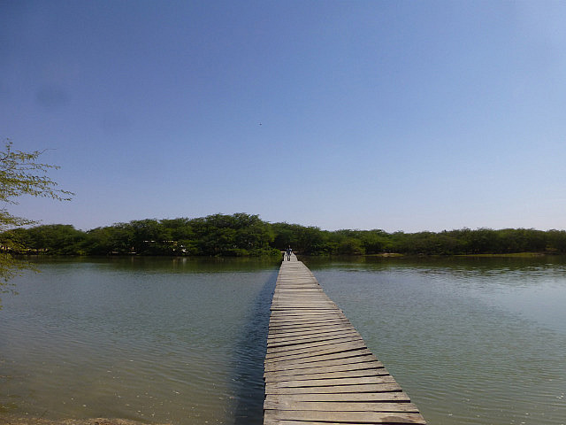 Traversing a boardwalk takes you to the island