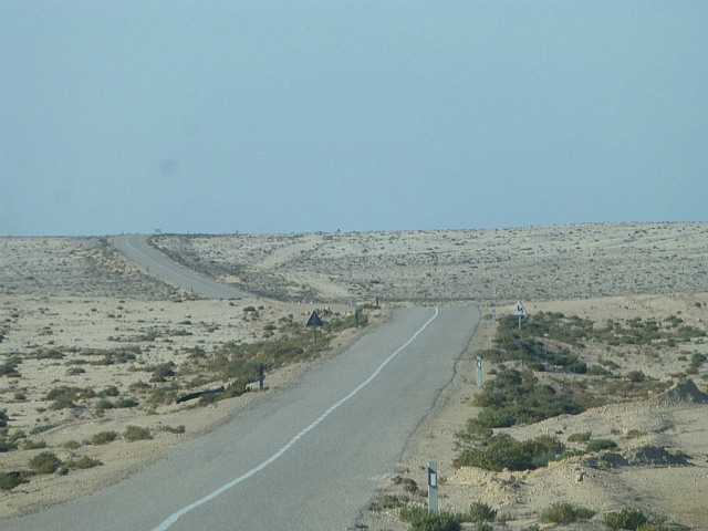 Arid desert landscape, Western Sahara