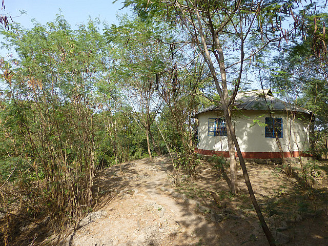 Rooms at Paradise Inn Lodge set amidst trees