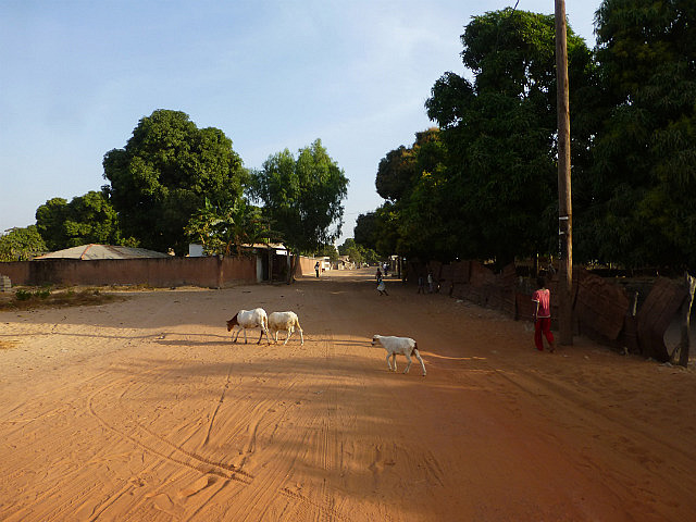 Tanji street in the evening