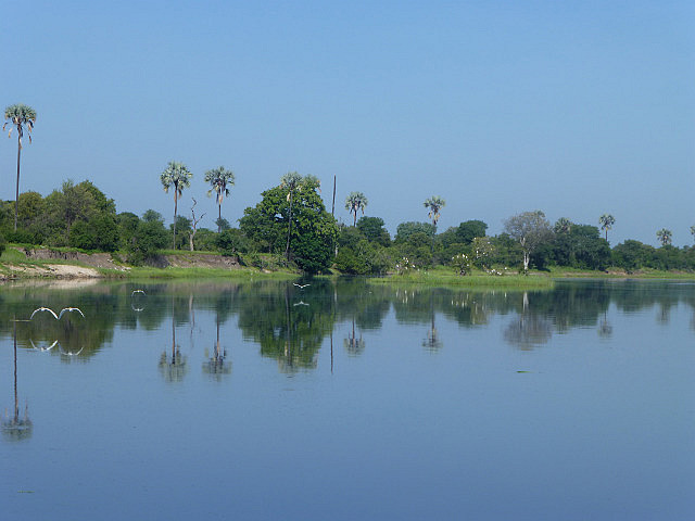 Zambezi River