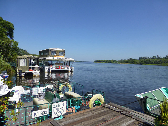 Zambezi river cruise