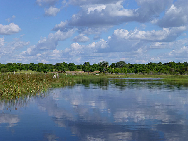 Heading back to Maun