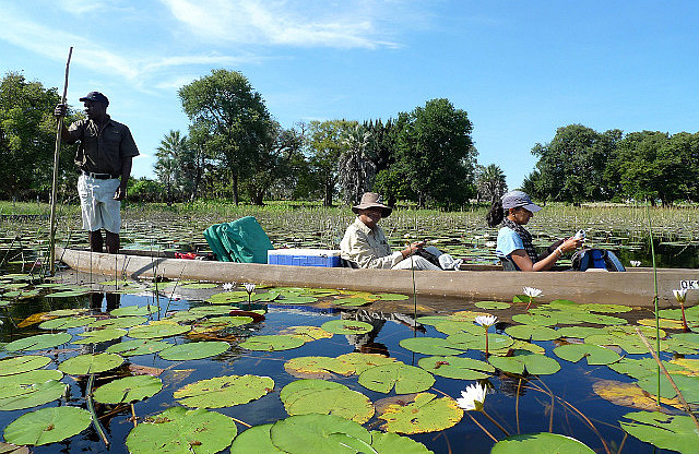 Leaving the delta on a mokoro
