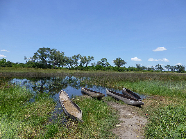 Mokoros parked at the edge of the island