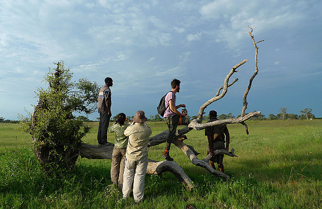 Scouting the area for animals and birds