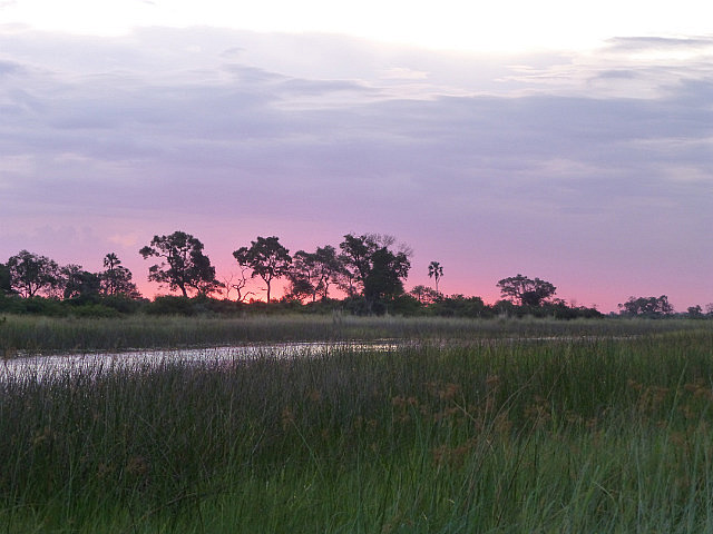 Sunset in the Okavango