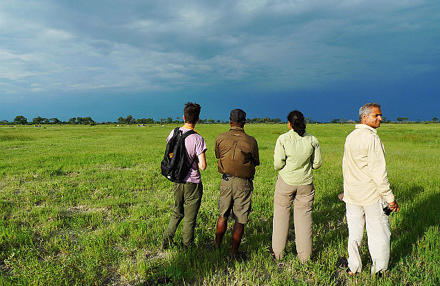 Walking safari in Okavango
