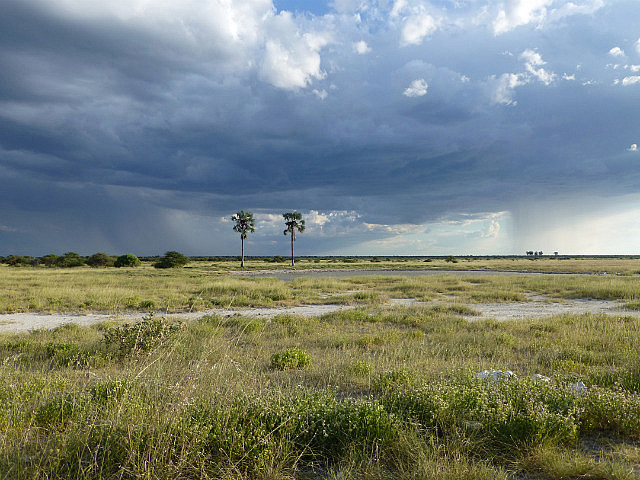 Rainstorm looms over Etosha