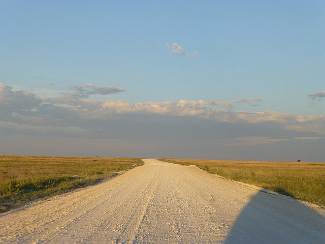 Etosha National Park road