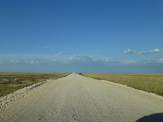 Etosha National Park road