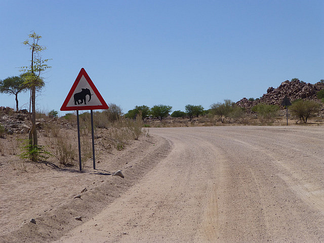 Dont run over elephants!