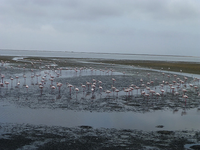 Low tide at Walvis Bay
