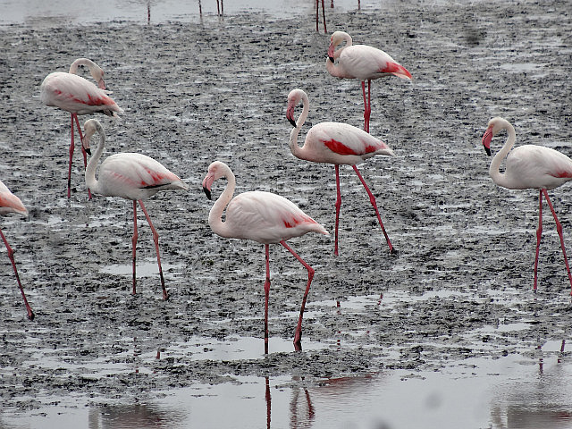 Pretty in pink!