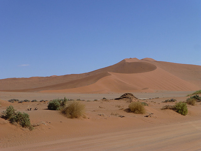 'Big Daddy' dune