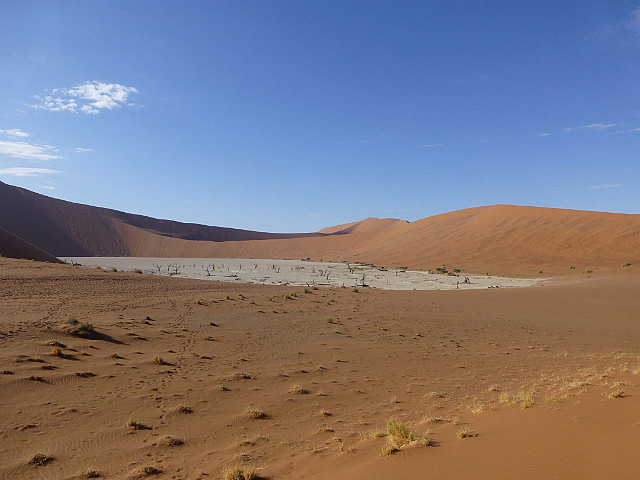 Deadvlei salt pan with desiccated acacia trees