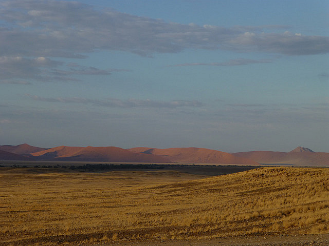 Distant dunes in the morning light
