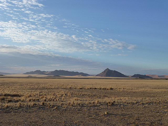 Desert panorama