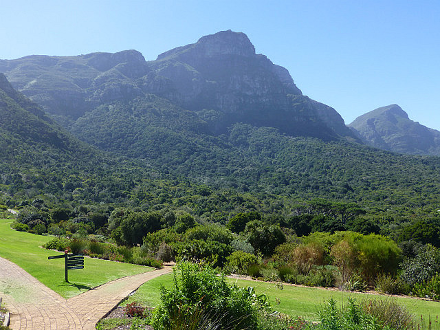 Kirstenbosch Botanical Garden