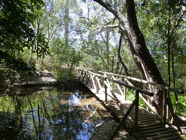 Kirstenbosch Botanical Garden