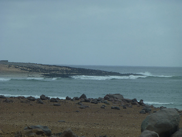 Black dots on the far side are all seals