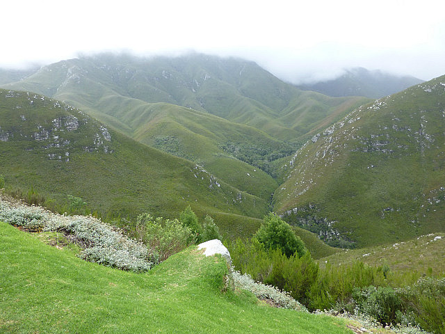 Onteniqua Pass viewpoint enroute George-Oudtshoorn