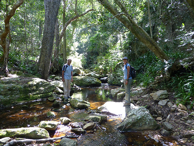 Stream crossing on Kranshoek Coastal Hiking Trail