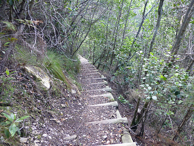 Section of Kranshoek Coastal Hiking Trail