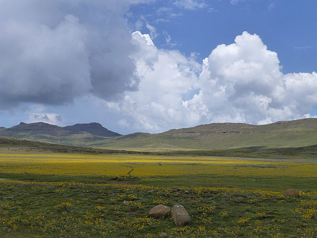 Lesotho panorama