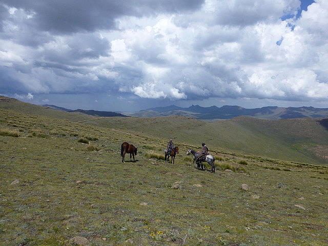 Shepherds on horseback
