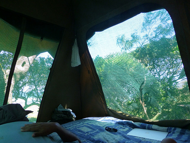 Looking out from inside the Safari Tent