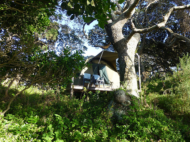 Safari Tent at Bulungula