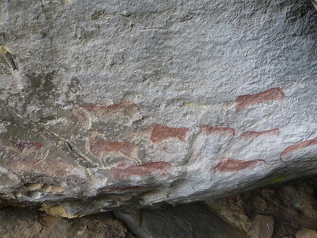 Bushman rock art