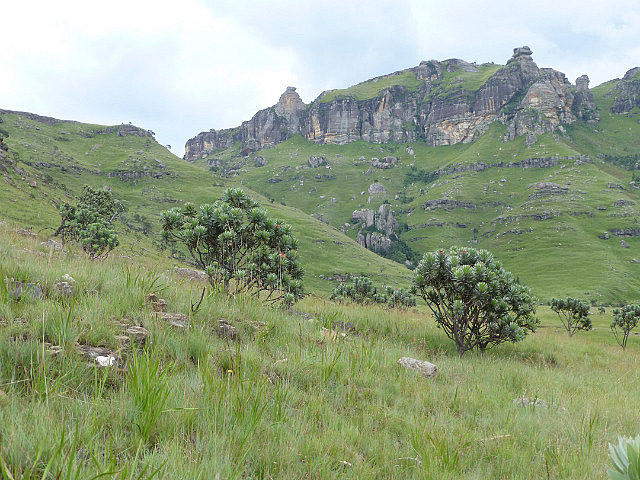 Hiking in the Drakensberg