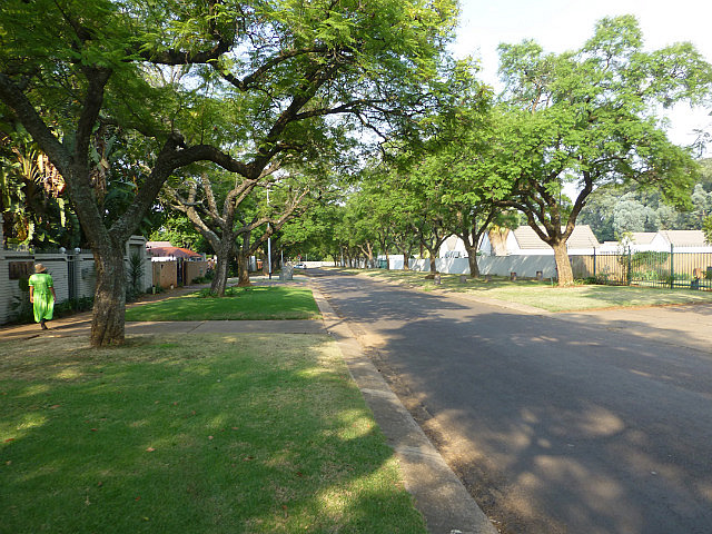 Quiet residential street near our backpacker lodge