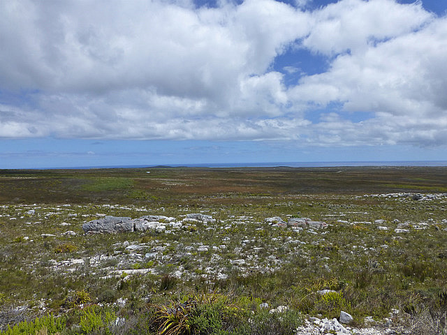 Cape of Good Hope Nature Reserve