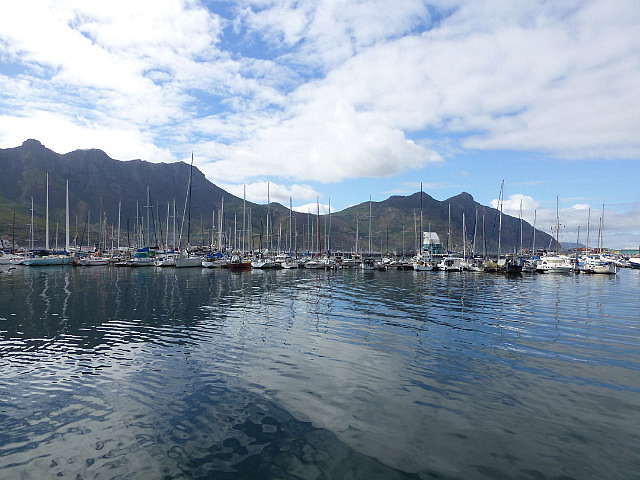 Hout Bay Marina