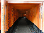 Torii covered passageway to Fushimi Inari