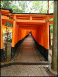 Torii covered passage at Fushimi Inari