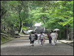 Kimono clad women walking through Nara park