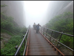Ladder section near summit