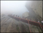 Ladder section near summit