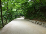 Trail to Seokguram Grotto