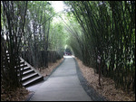 Giant Panda Breeding Research Center 