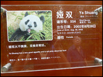 Hello !  I am Ya Shuang.