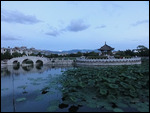 Confucian temple - bridge and water lilies