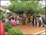 Crowd watching birdfight