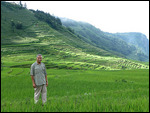 A hike through the paddy fields