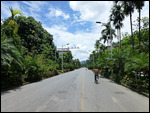 Shady streets