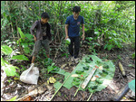 Lunch laid over banana leaves. Note soup in bamboo